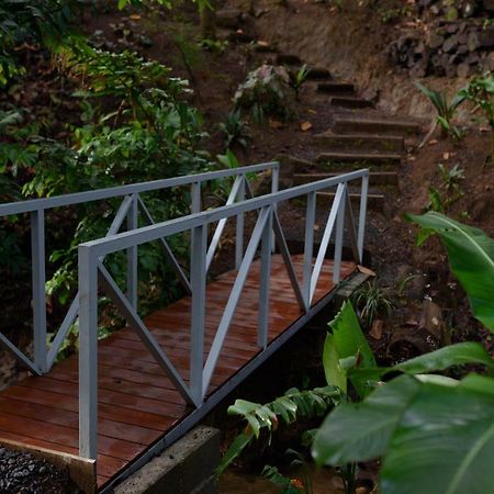 Volcano Gold Loft La Fortuna Exterior foto